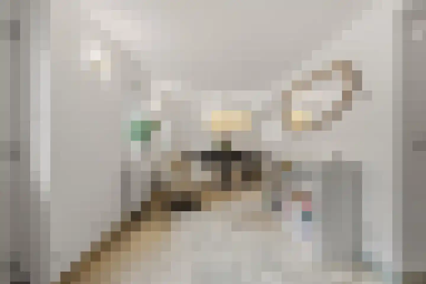 Raadhuislaan 1 A Wassenaar thumbnail 32