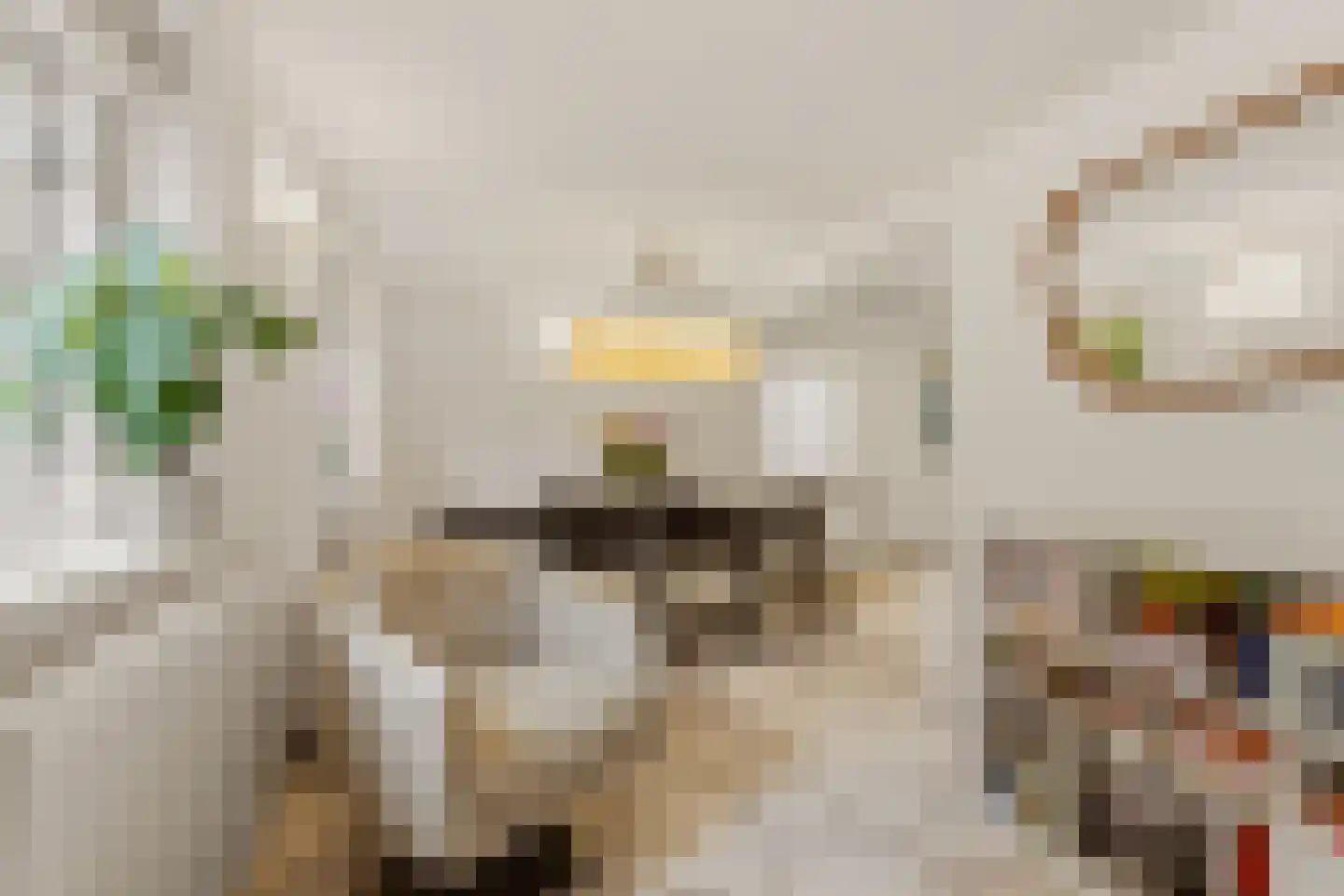 Raadhuislaan 1 A Wassenaar thumbnail 33