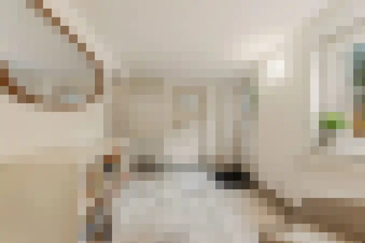 Raadhuislaan 1 A Wassenaar thumbnail 38
