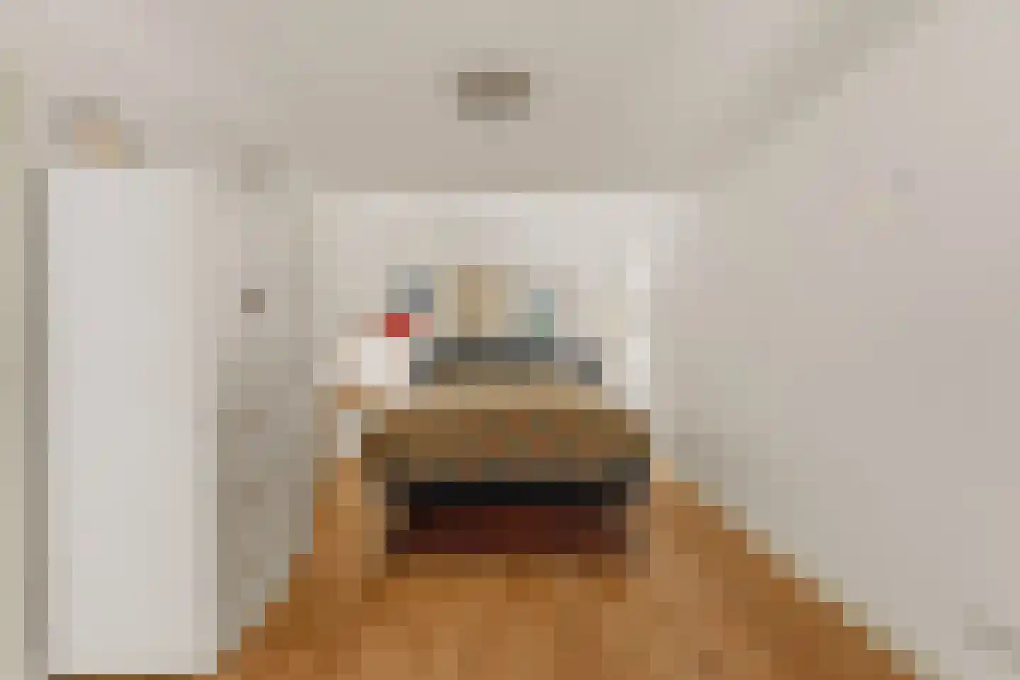 Raadhuislaan 1 A Wassenaar thumbnail 40