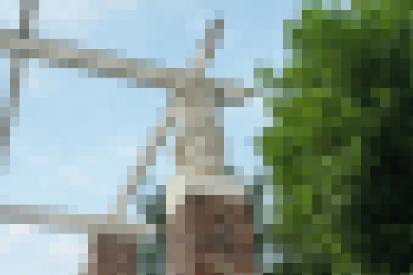 Raadhuislaan 1 A Wassenaar thumbnail 55