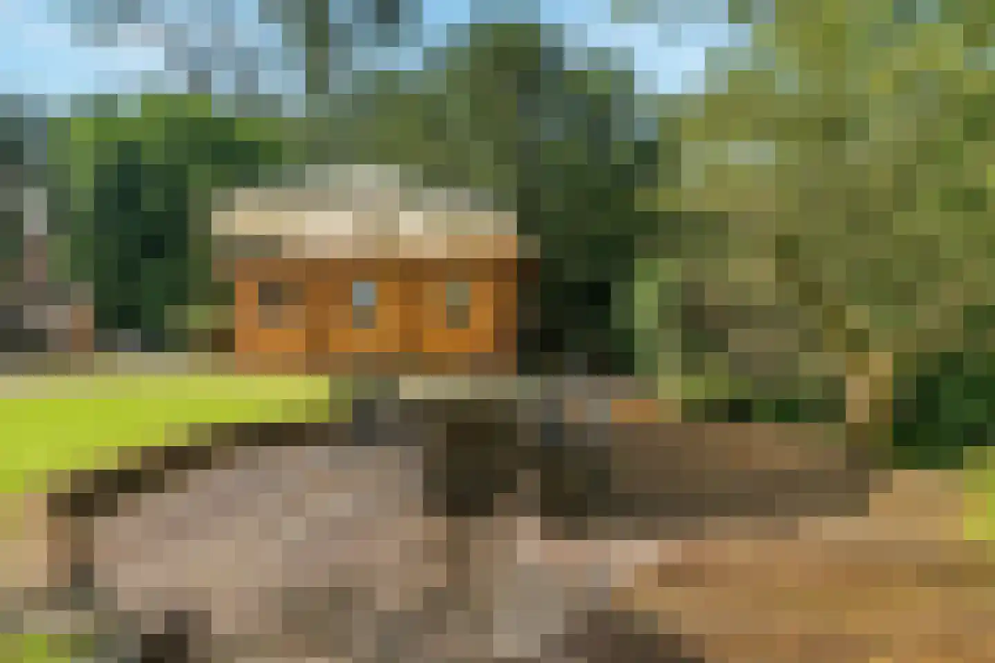 Raadhuislaan 1 A Wassenaar thumbnail 57