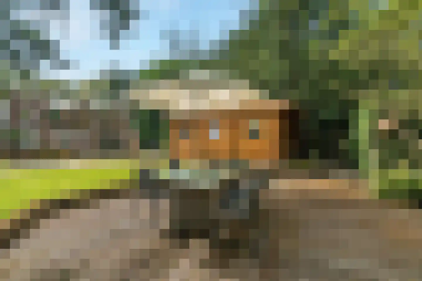 Raadhuislaan 1 A Wassenaar thumbnail 58