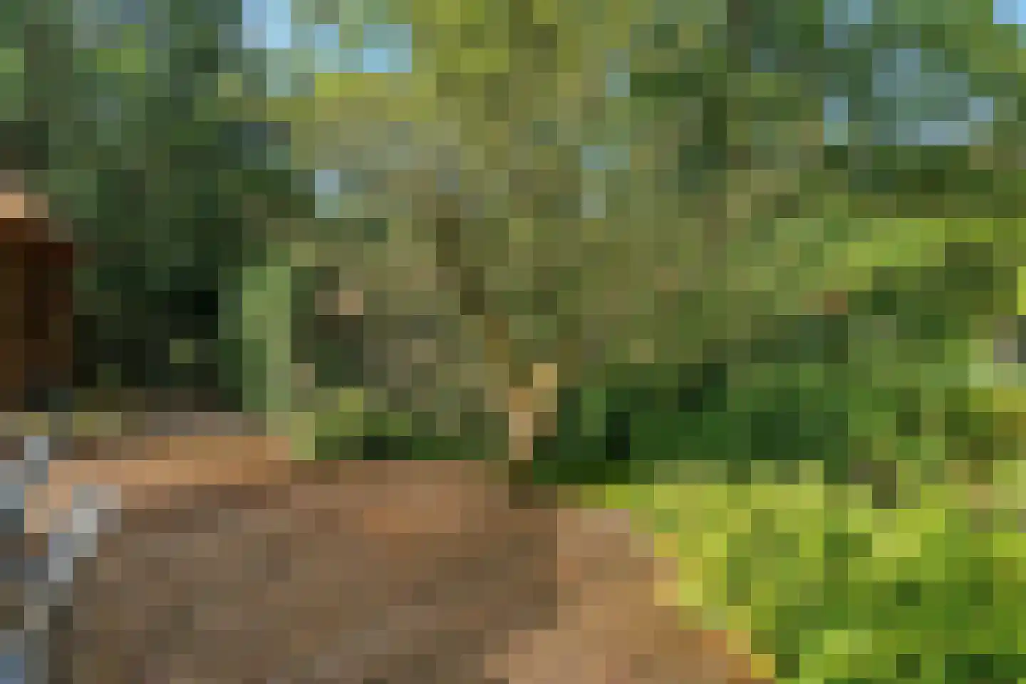 Raadhuislaan 1 A Wassenaar thumbnail 59