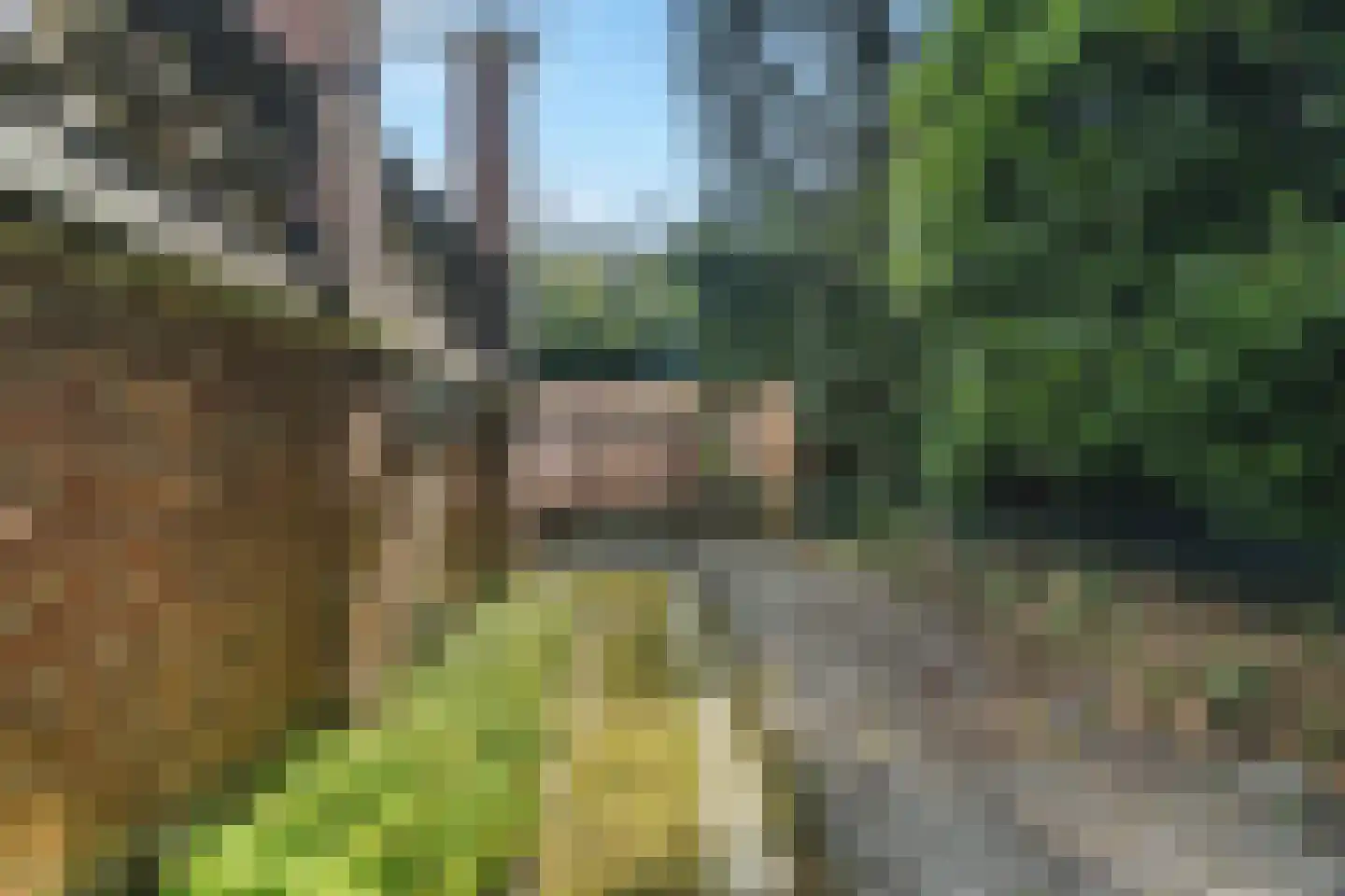 Raadhuislaan 1 A Wassenaar thumbnail 69