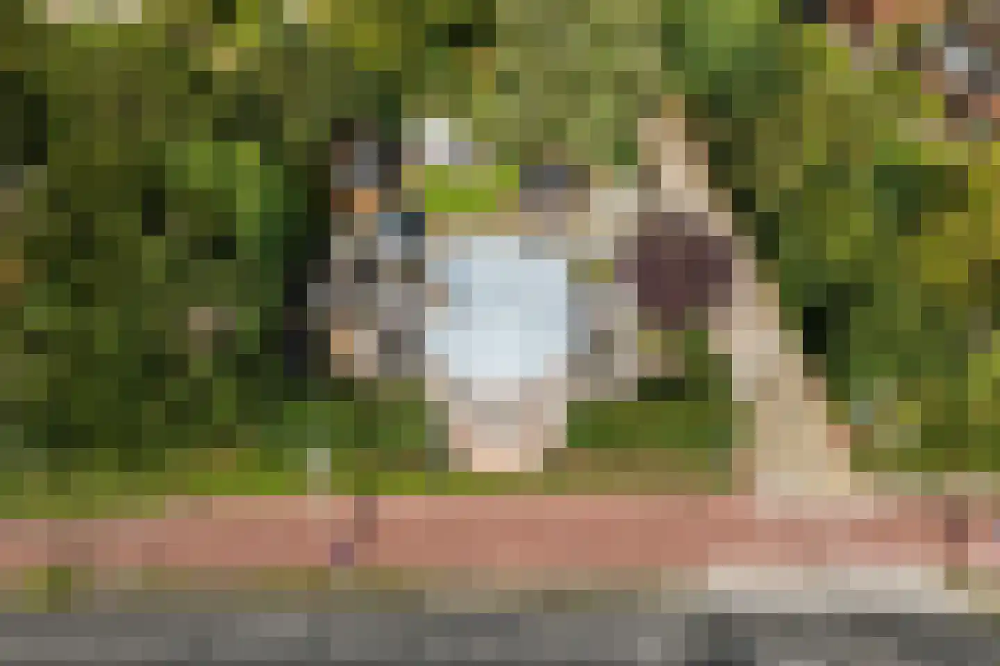 Raadhuislaan 1 A Wassenaar thumbnail 80