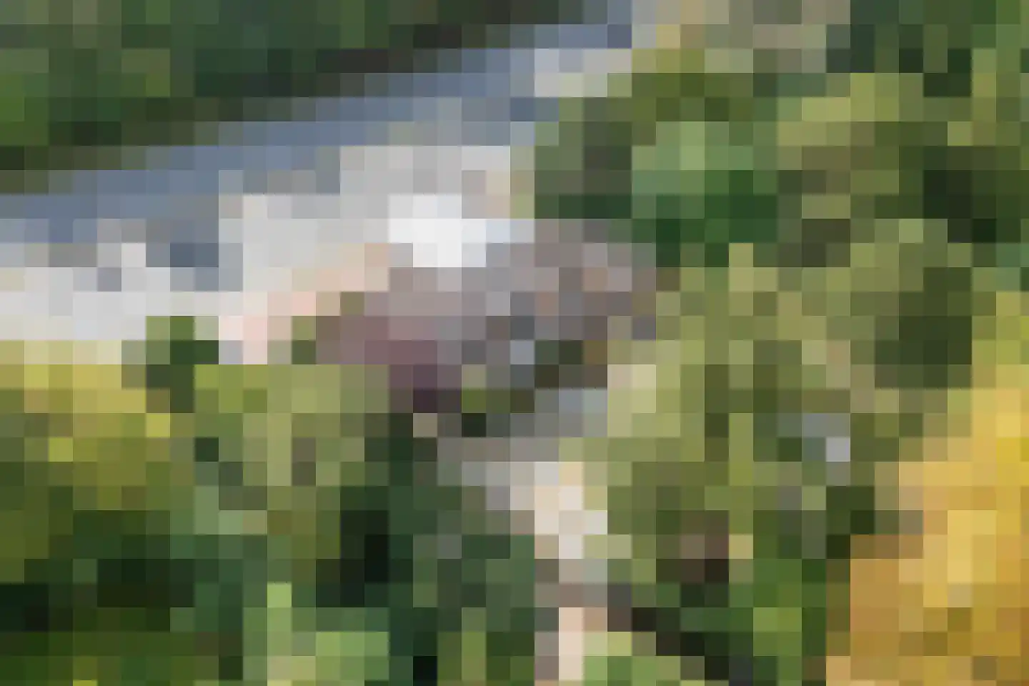 Raadhuislaan 1 A Wassenaar thumbnail 81