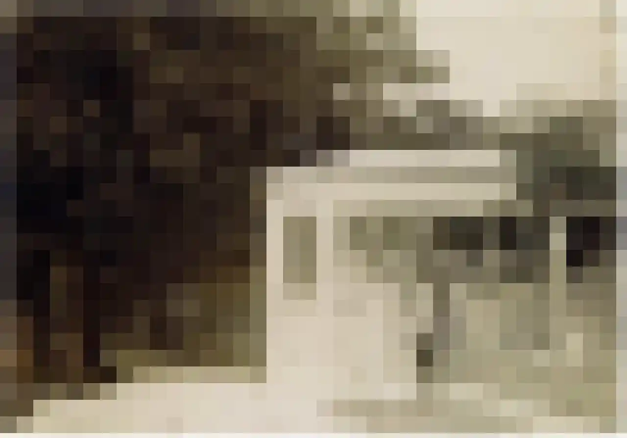 Raadhuislaan 1 A Wassenaar thumbnail 83