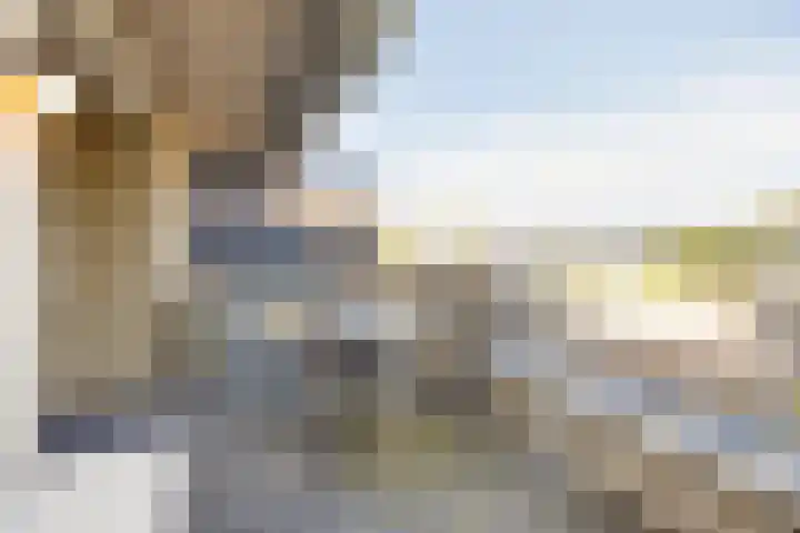 Raadhuislaan 1 D Oss thumbnail 13