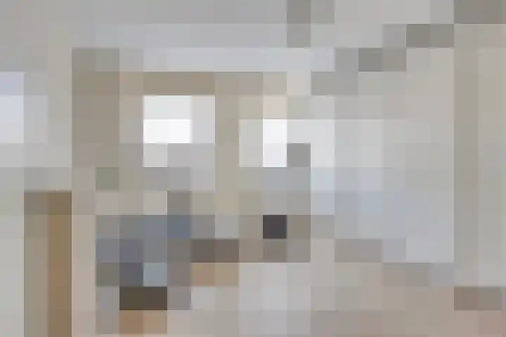 Raadhuislaan 1 D Oss thumbnail 17