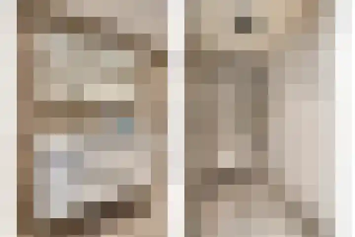 Raadhuislaan 1 D Oss thumbnail 18