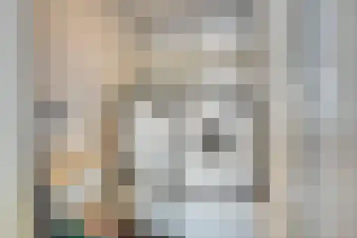 Raadhuislaan 1 D Oss thumbnail 23