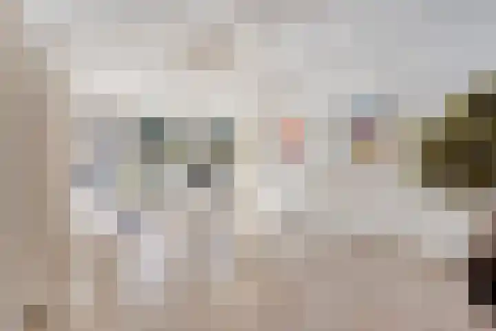 Raadhuislaan 1 D Oss thumbnail 26