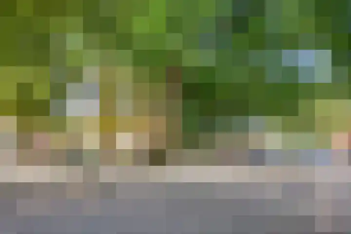 Raadhuislaan 1 D Oss thumbnail 31