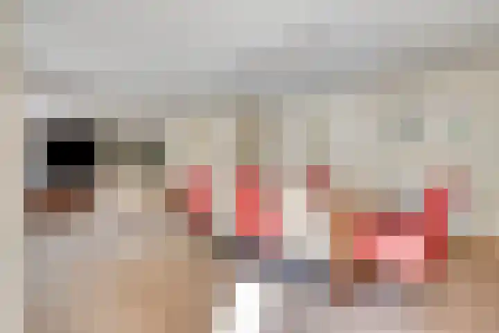 Raadhuislaan 1 D Oss thumbnail 7