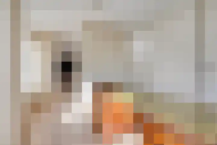 Raadhuislaan 1 D Oss thumbnail 8