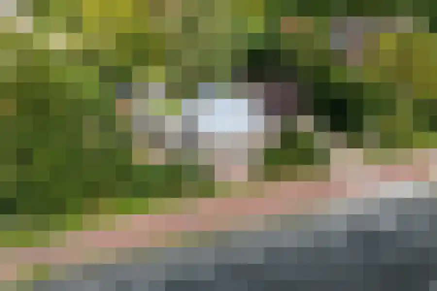 Raadhuislaan 1 Wassenaar thumbnail 8