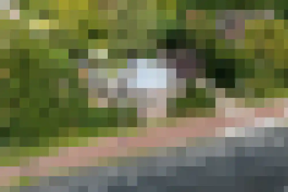 Raadhuislaan 1 Wassenaar thumbnail 9