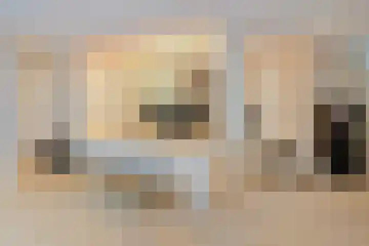 Raadhuislaan 103 Oss thumbnail 10