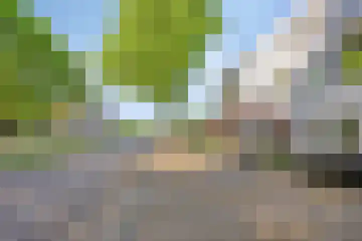 Raadhuislaan 103 Oss thumbnail 18