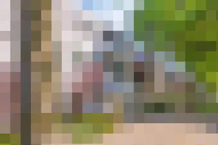 Raadhuislaan 103 Oss thumbnail 19