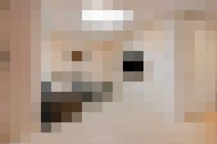 Raadhuislaan 103 Oss thumbnail 8