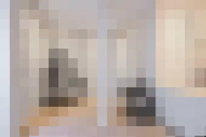Raadhuislaan 103 Oss thumbnail 9
