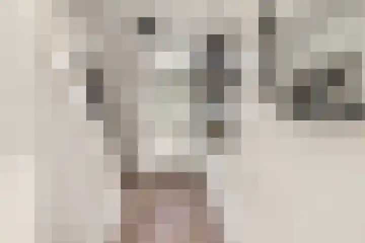 Raadhuislaan 13 Hoofddorp thumbnail 13