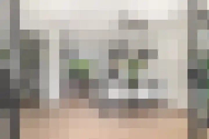 Raadhuislaan 13 Hoofddorp thumbnail 19