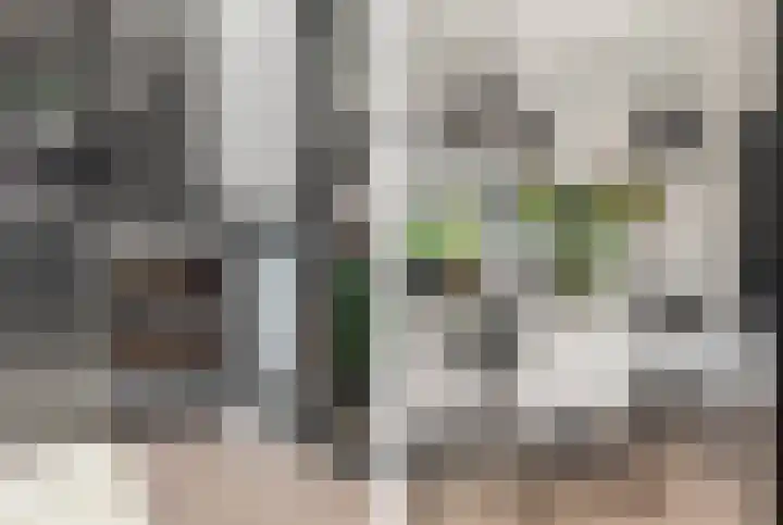 Raadhuislaan 13 Hoofddorp thumbnail 21
