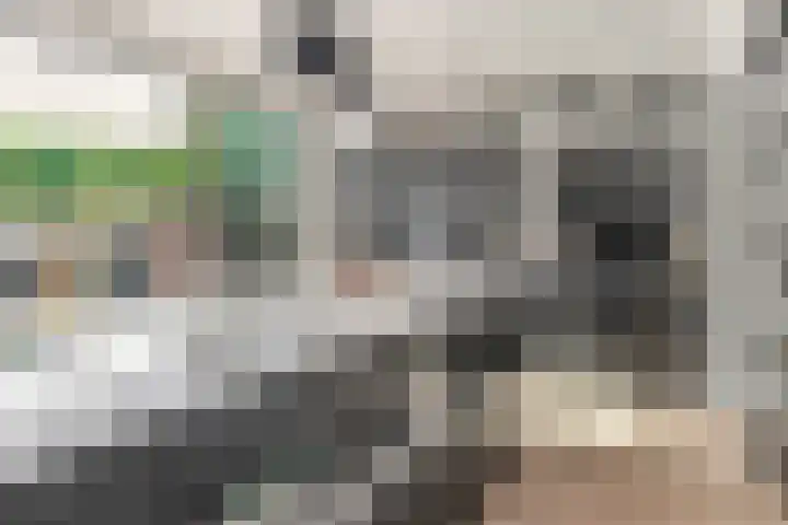 Raadhuislaan 13 Hoofddorp thumbnail 22