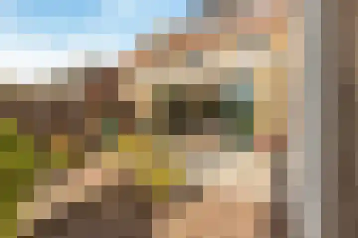 Raadhuislaan 13 Hoofddorp thumbnail 27
