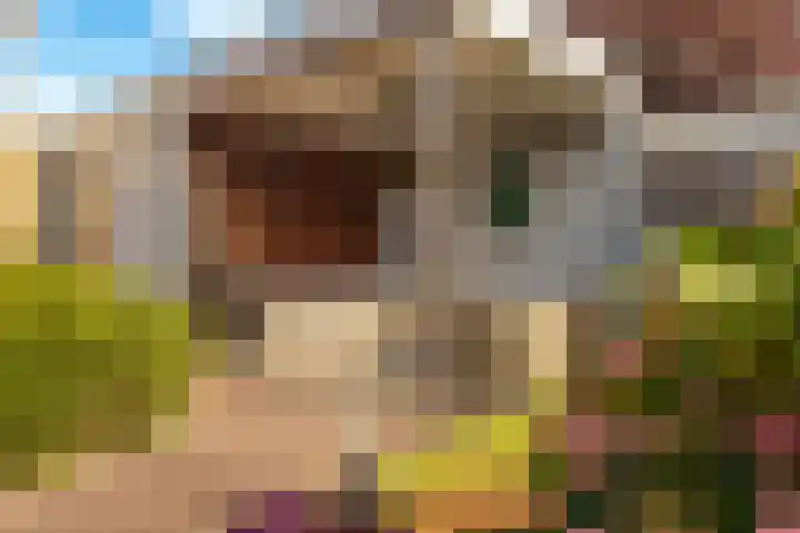 Raadhuislaan 13 Hoofddorp thumbnail 28