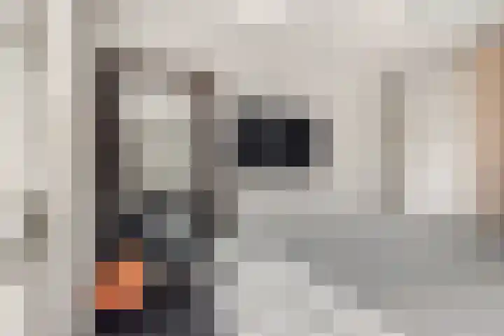 Raadhuislaan 13 Hoofddorp thumbnail 32