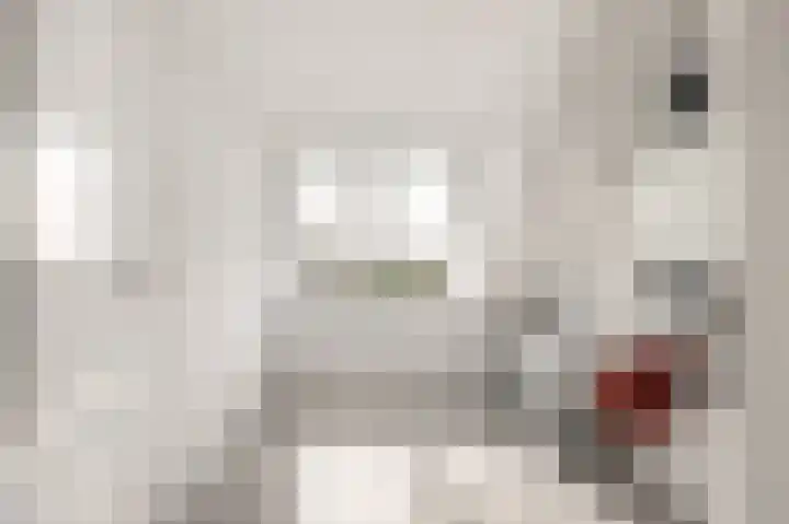 Raadhuislaan 13 Hoofddorp thumbnail 37