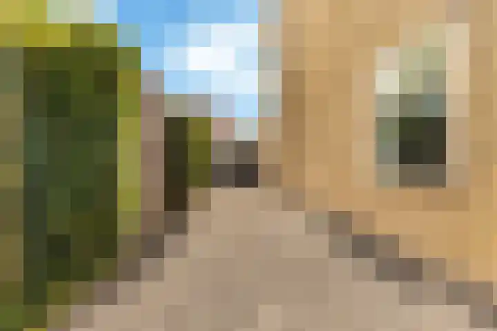 Raadhuislaan 13 Hoofddorp thumbnail 42