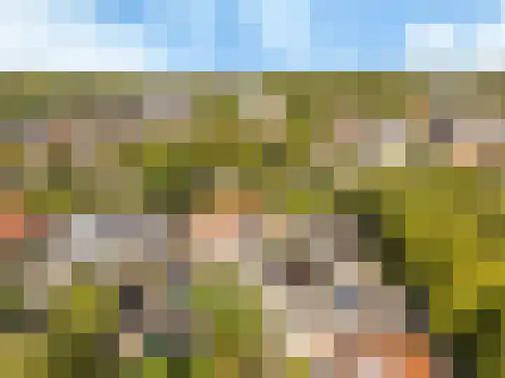 Raadhuislaan 13 Hoofddorp thumbnail 45