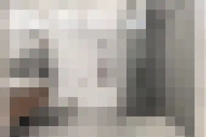 Raadhuislaan 13 Hoofddorp thumbnail 5