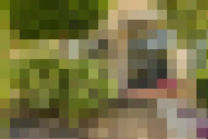 Raadhuislaan 13 Hoofddorp thumbnail 7