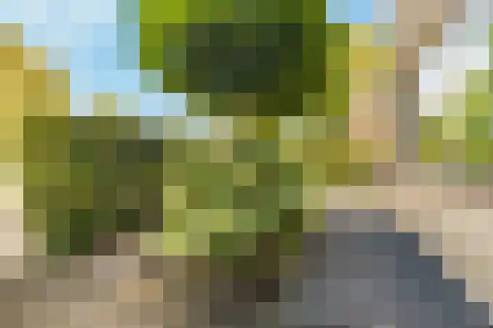 Raadhuislaan 13 Hoofddorp thumbnail 8