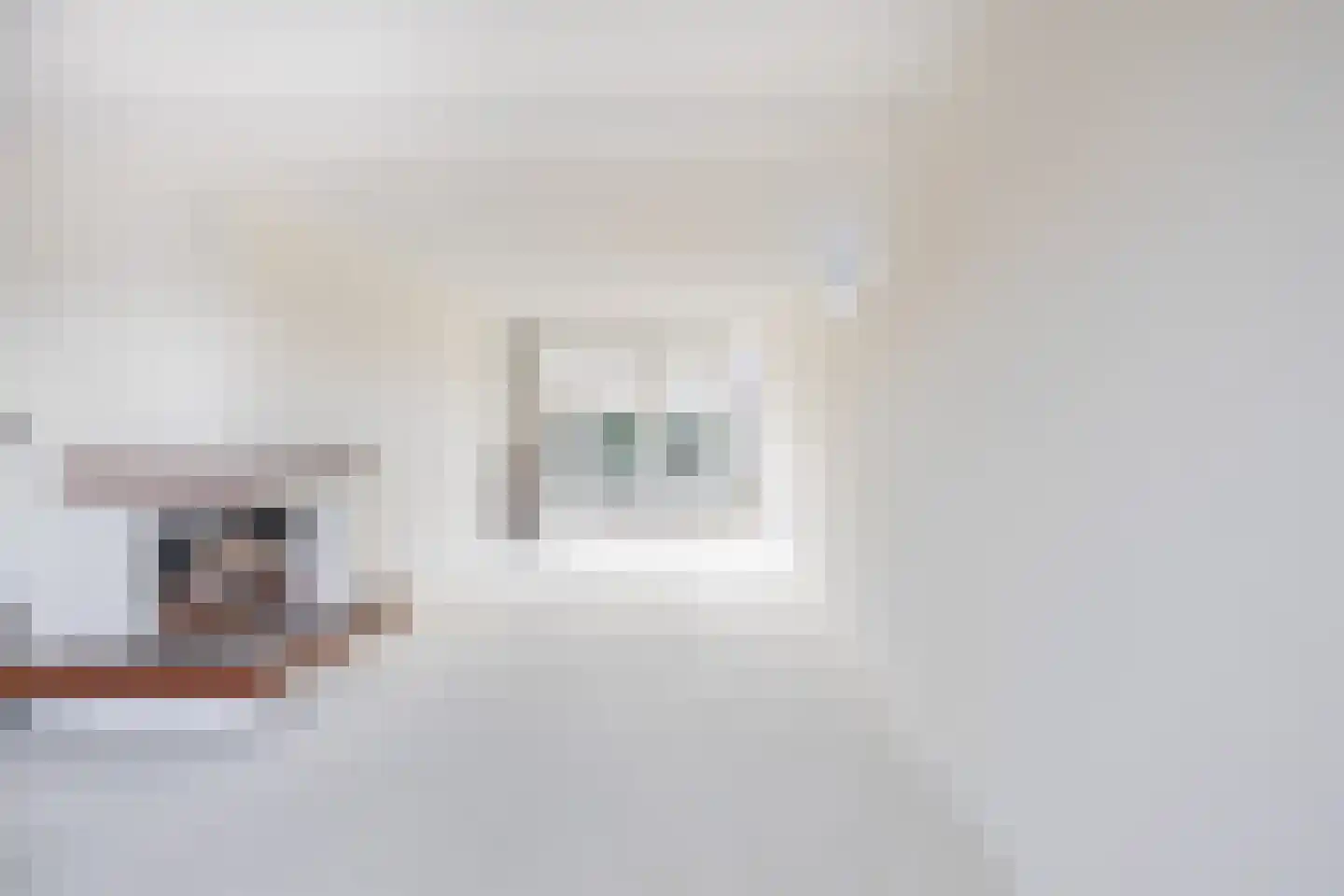 Raadhuislaan 14 Berkel en Rodenrijs thumbnail 13