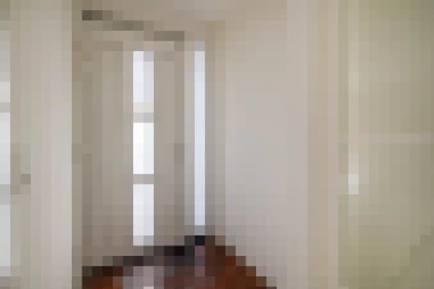 Raadhuislaan 14 Berkel en Rodenrijs thumbnail 15