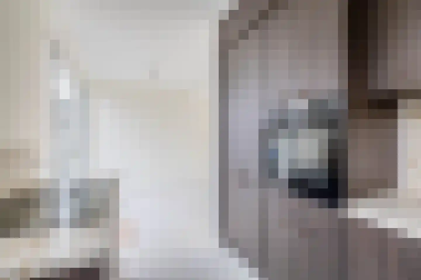 Raadhuislaan 14 Berkel en Rodenrijs thumbnail 23