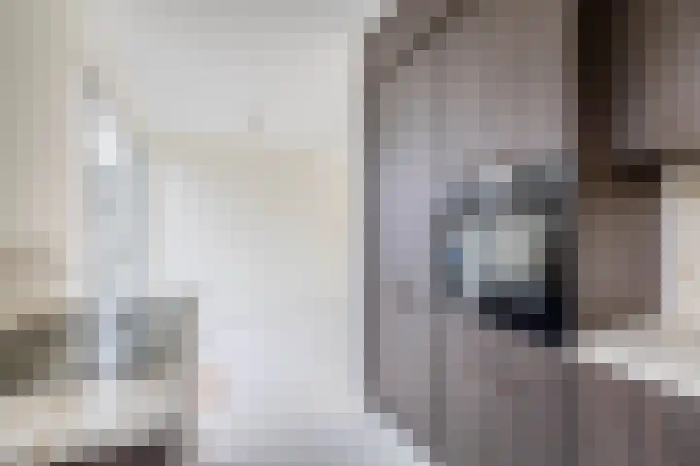 Raadhuislaan 14 Berkel en Rodenrijs thumbnail 24