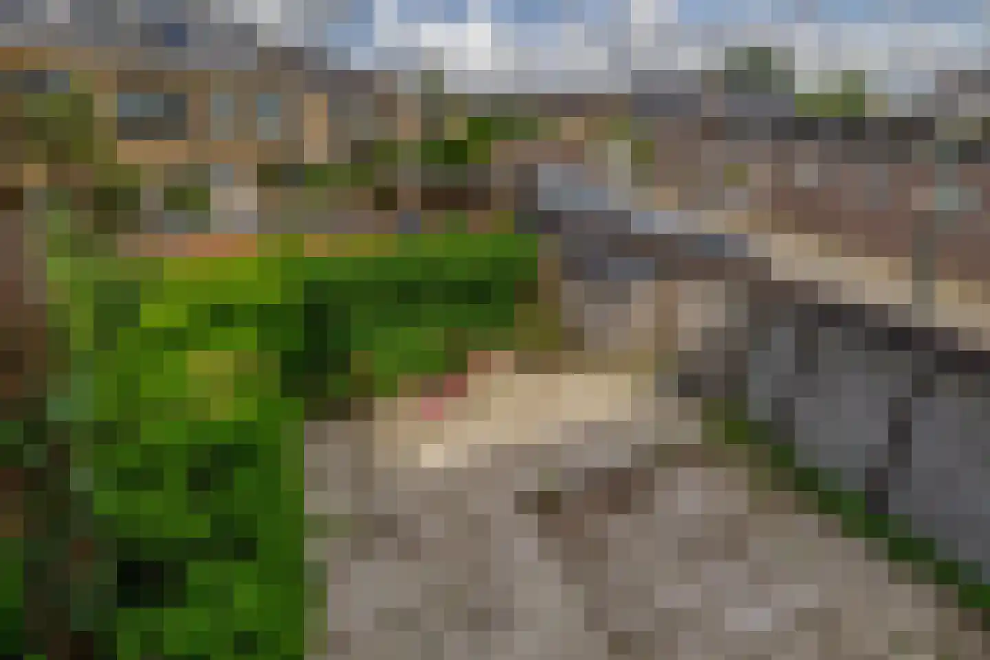 Raadhuislaan 14 Berkel en Rodenrijs thumbnail 31