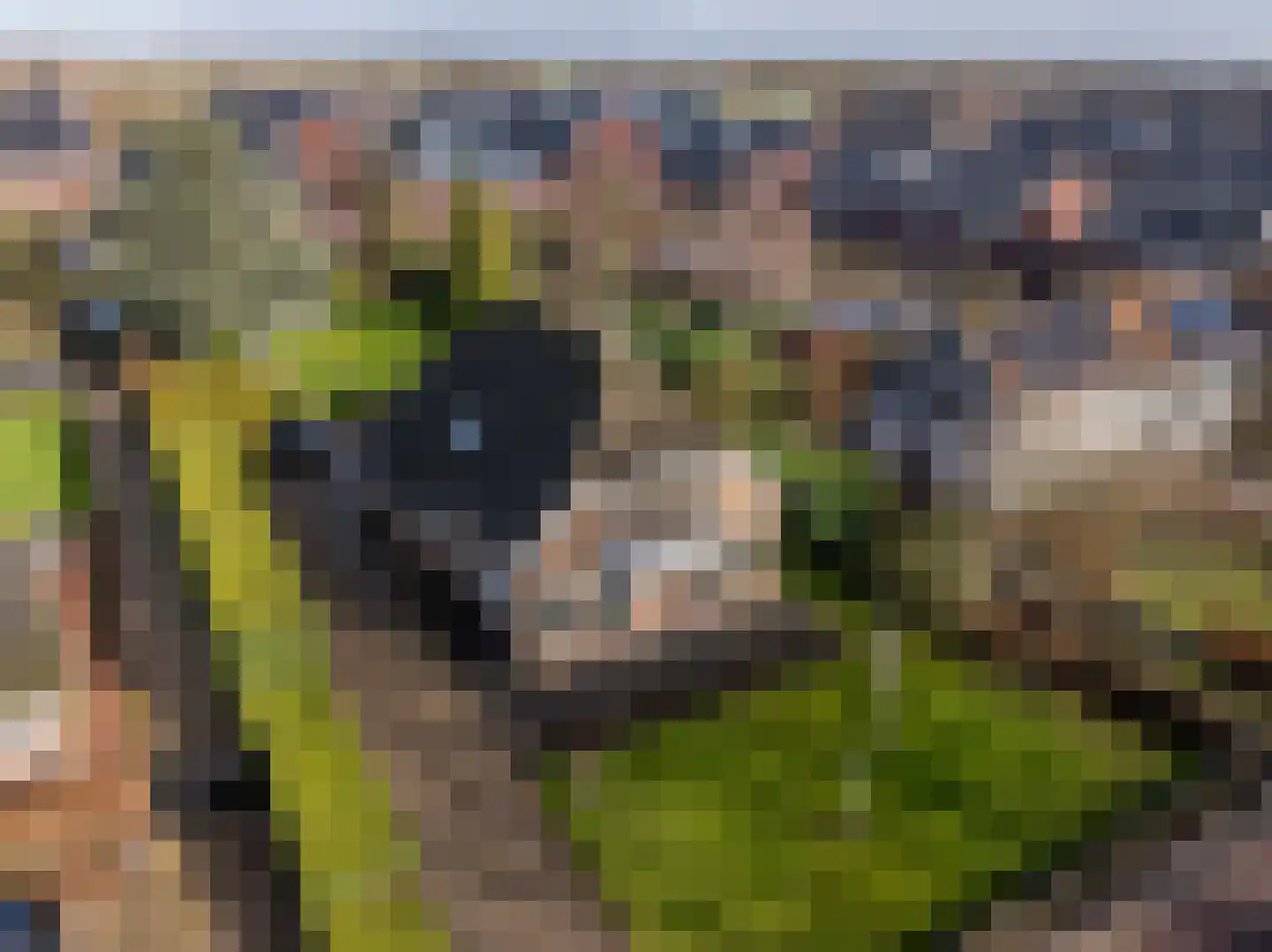 Raadhuislaan 14 Mijnsheerenland