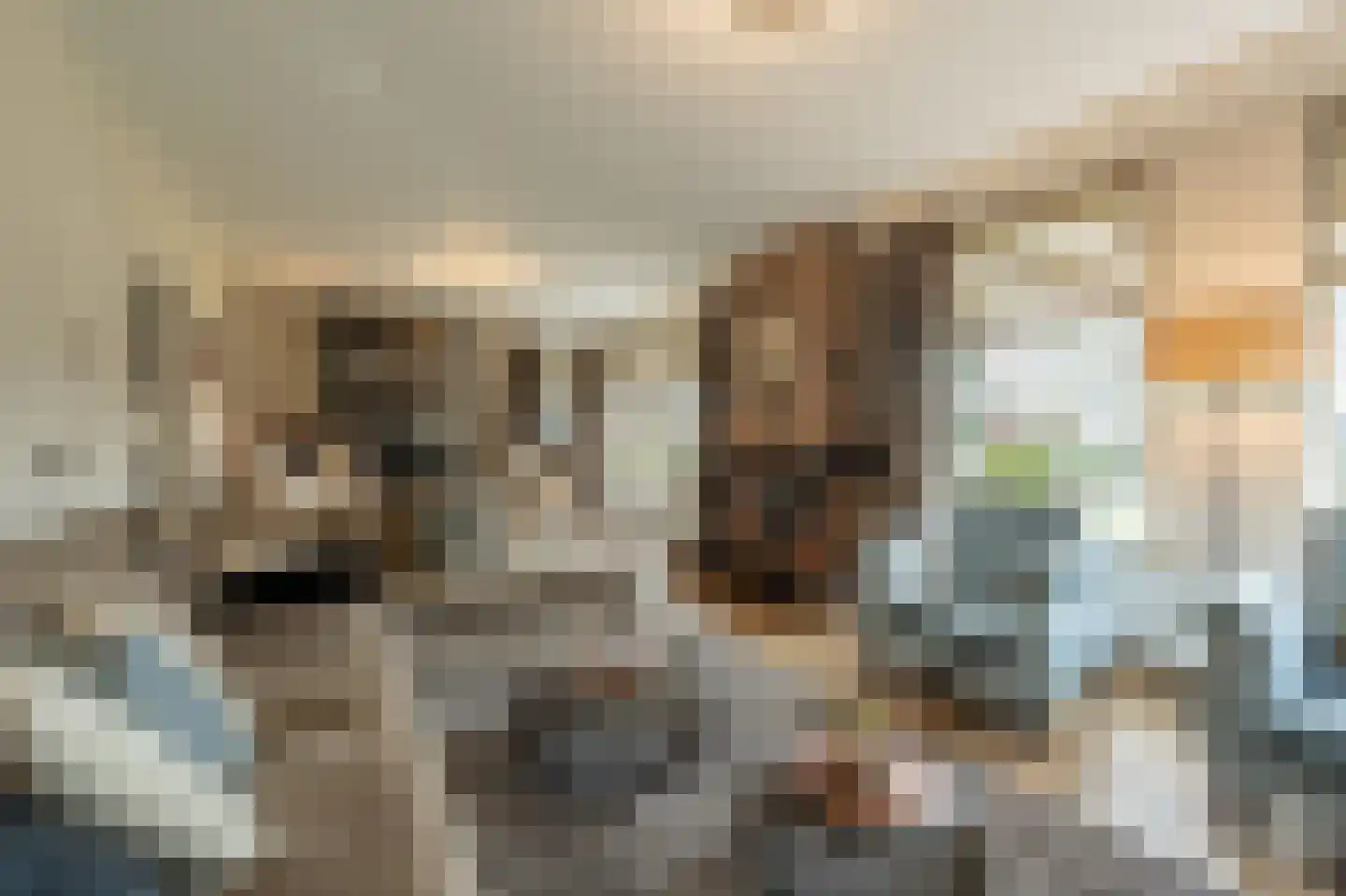 Raadhuislaan 14 Mijnsheerenland thumbnail 10
