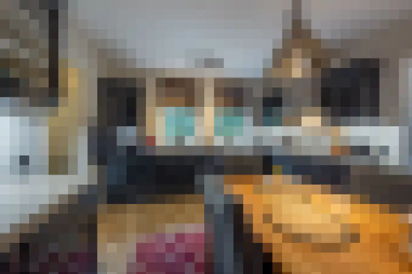 Raadhuislaan 14 Mijnsheerenland thumbnail 12