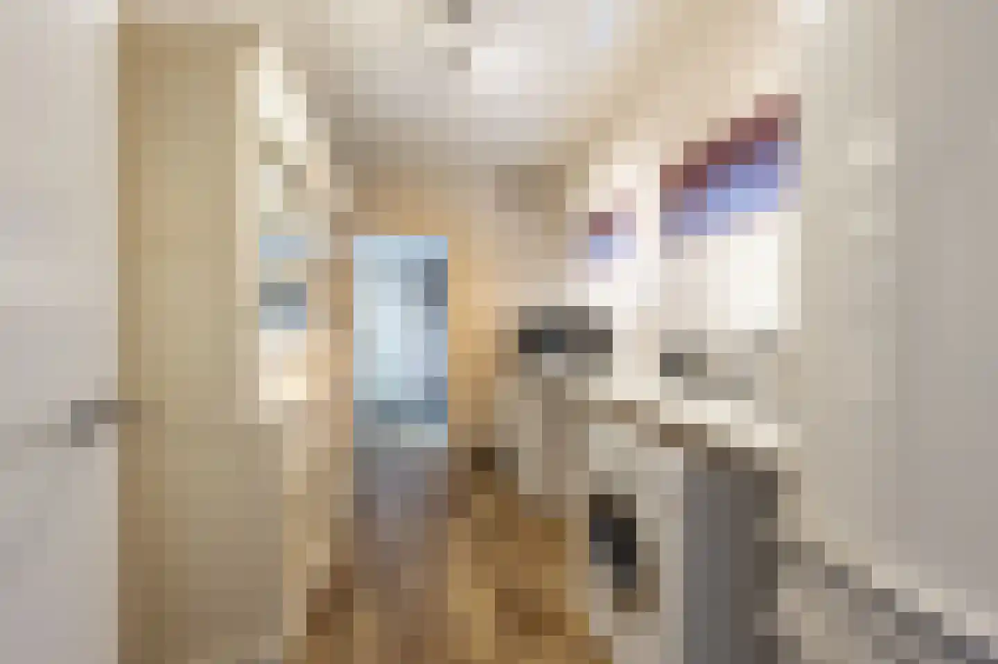 Raadhuislaan 14 Mijnsheerenland thumbnail 13
