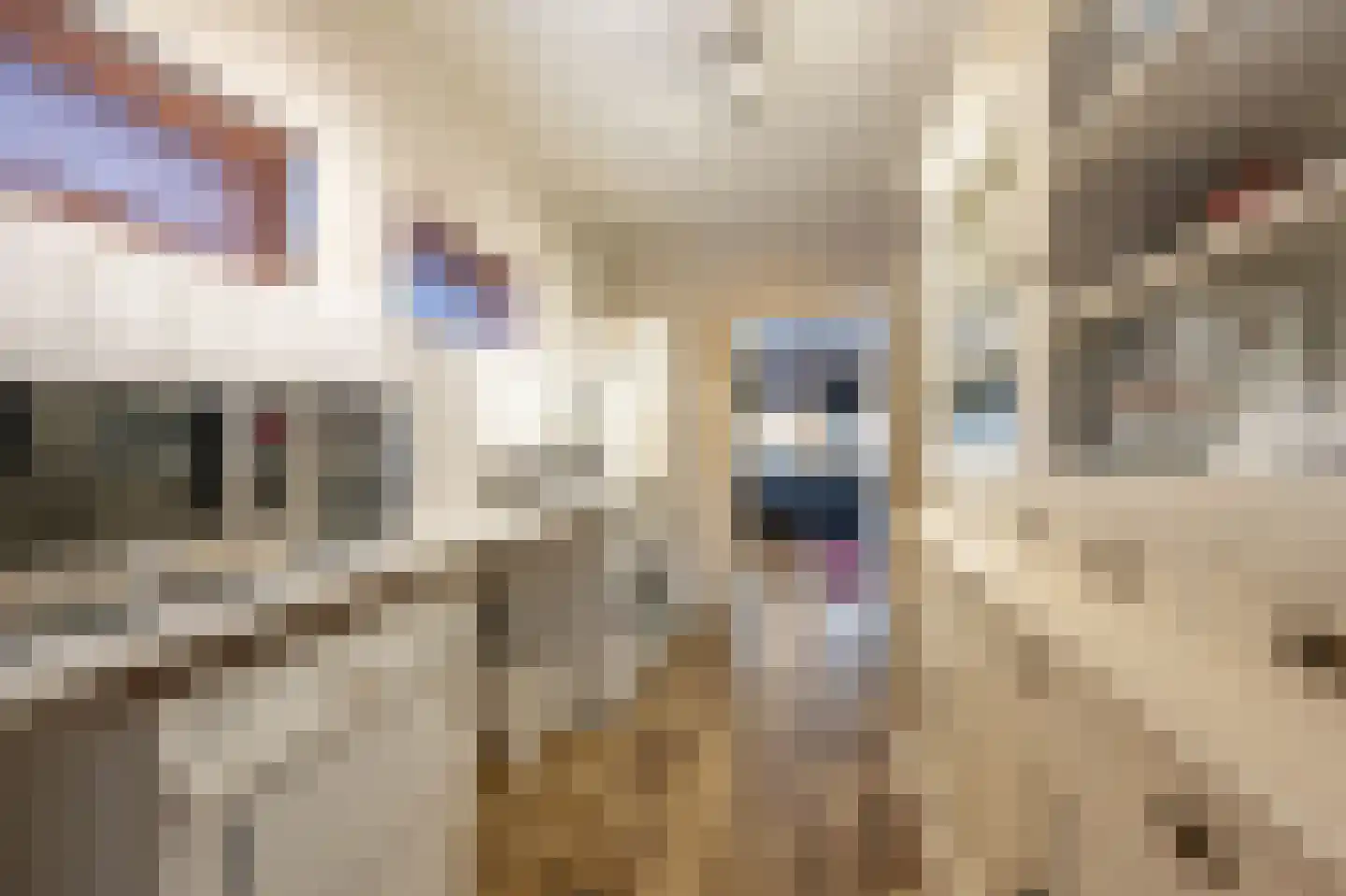 Raadhuislaan 14 Mijnsheerenland thumbnail 14